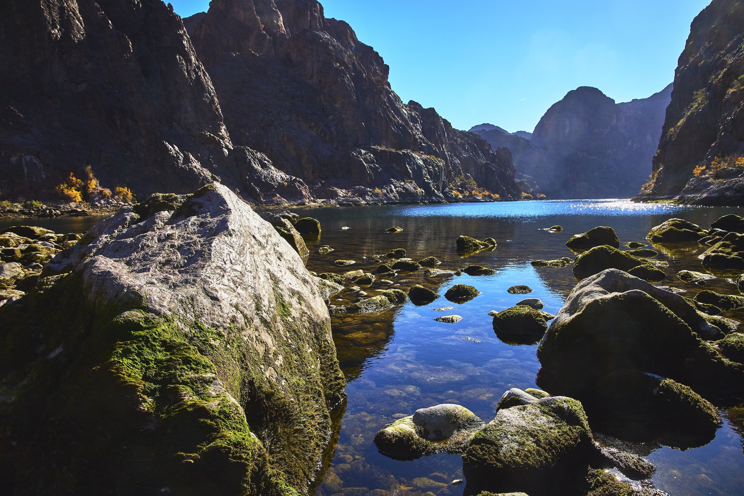 Mossy rocks on Colorado River
